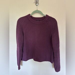 Quince Cotton Fisherman Sweater, M, NWOT, Eggplant